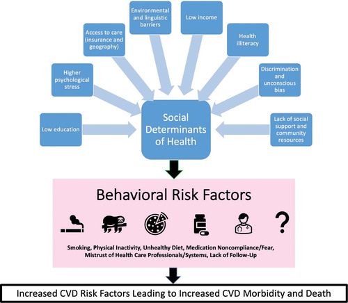 Aside from well-established risk factors, behavioral, environmental factors, &amp; social determinants of health affect cardiovascular health &amp; risk in women.
Linguistic barriers, discrimination, &amp; healthcare access disproportionally affect women of minority. ahajournals.org/doi/10.1161/CI…