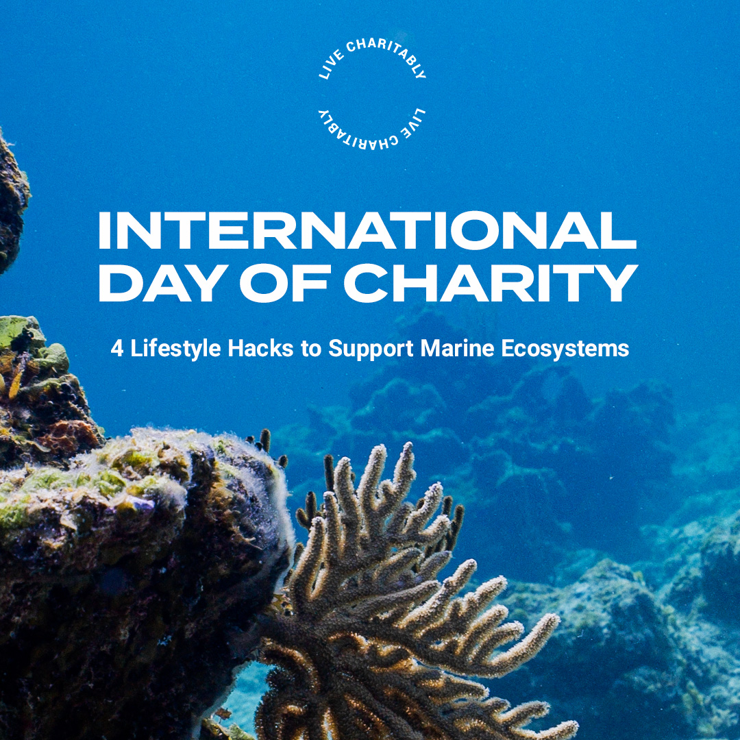 Beneath The Waves tweet media