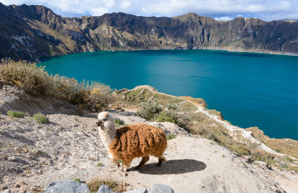 One of our favourite experiences on an Ecuador holiday is a journey through the Avenue of the Volcanoes. Visit Cotopaxi National Park, home to the highest active volcano in the world. For more of our top things to do in Ecuador, read on: bit.ly/8-things-to-do… @ecuadortravel