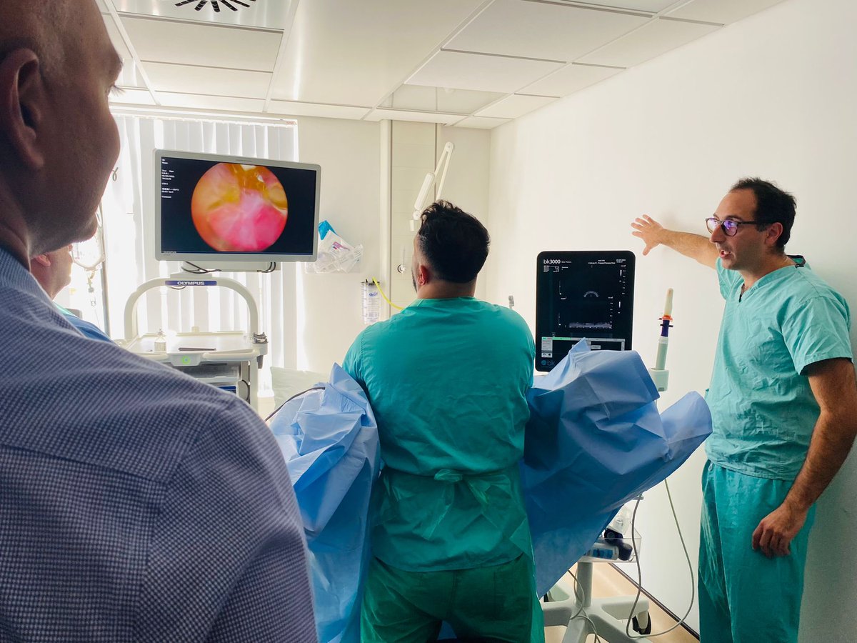 Feras Al Jaafari tweet media