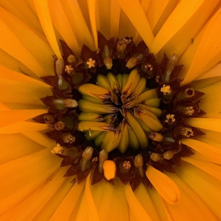 PLACE Collective tweet media