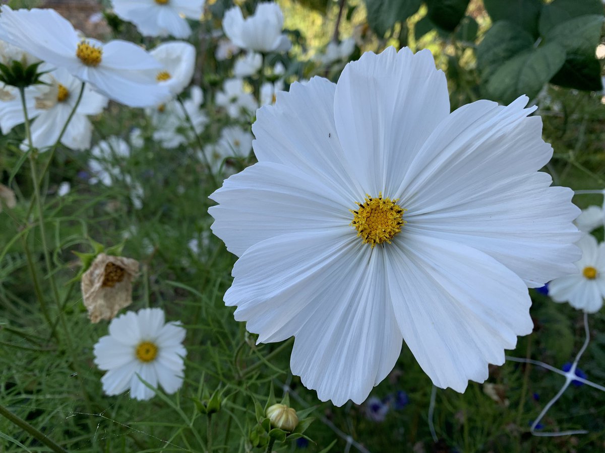 PLACE Collective tweet media