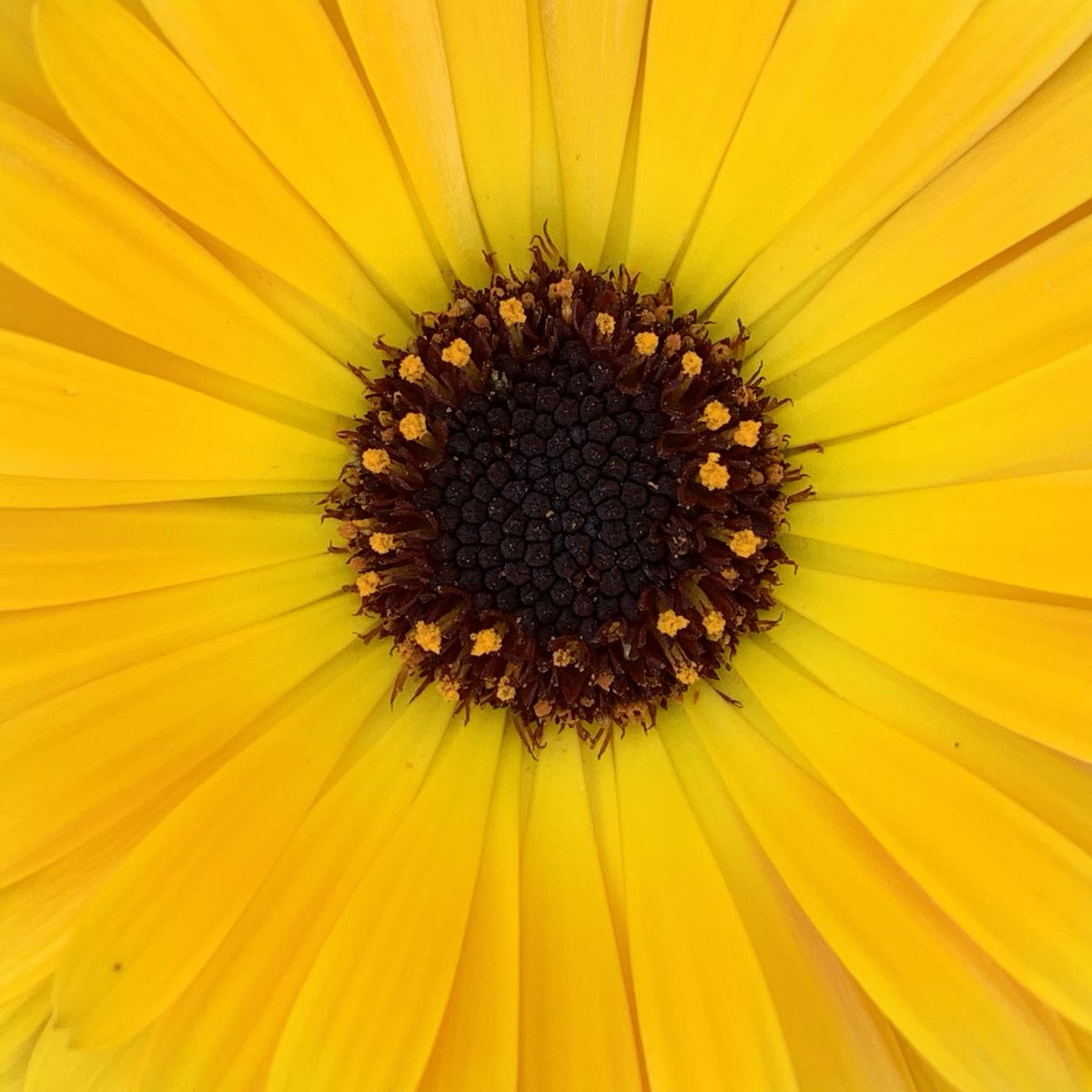 PLACE Collective tweet media