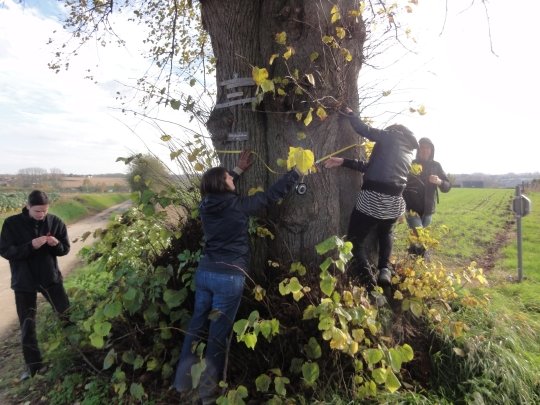 🌳Studiedag inventariseren van landschappen op vrijdag 29 september. Schrijf je in! 👉onroerenderfgoed.be/studiedag-inve…