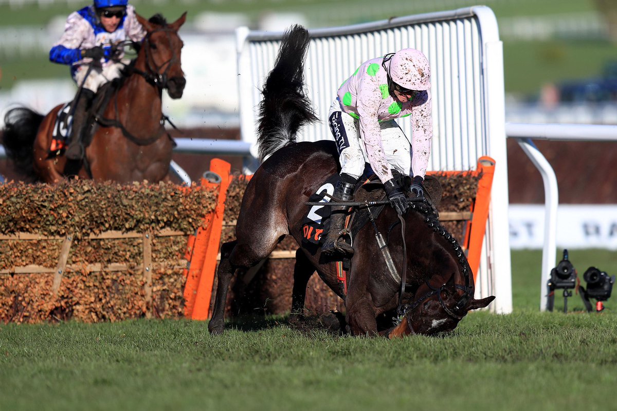 RacingGav tweet media
