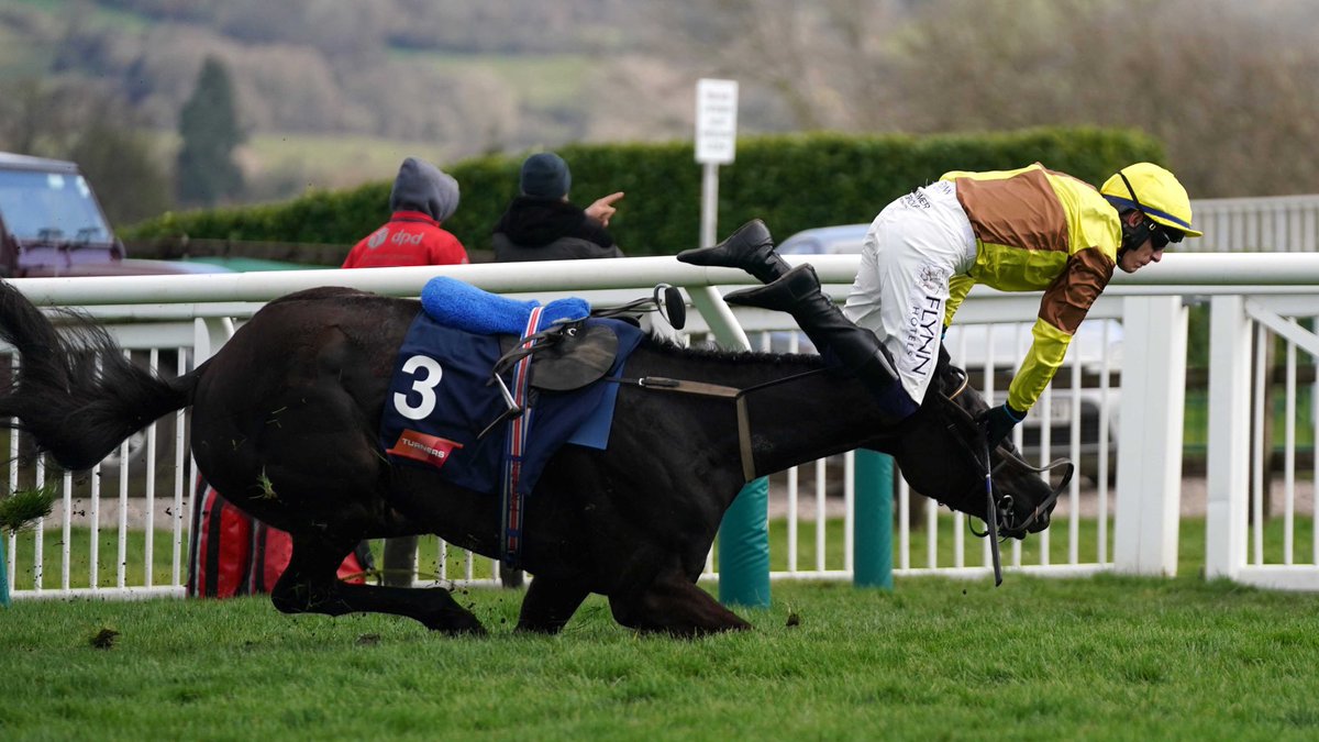 RacingGav tweet media