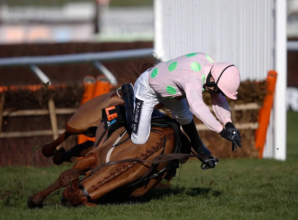 RacingGav tweet media