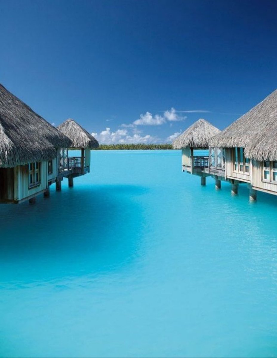 viewsoff's tweet photo. Paradise in Bora Bora. https://t.co/wEynXlGAWA