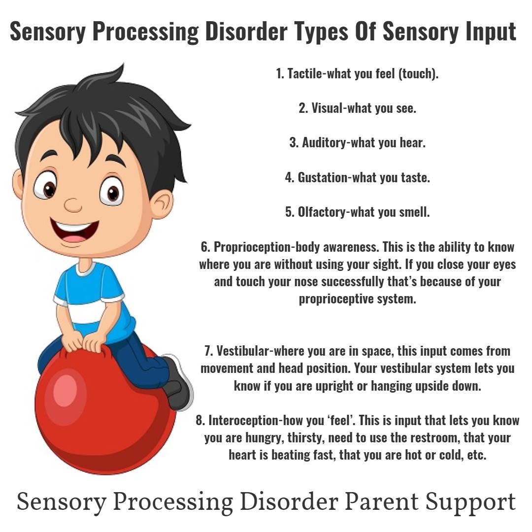 Sensoryprocessi's tweet image. Types of #sensoryinput
We have 8 sensory systems, they all contribute to our daily functioning and engagement with the world. 
1. Tactile 2. Visual 3. #Auditory 4. Gustation
5. #Olfactory 6. #Proprioception 7. #Vestibular 
8. #Interoception
What Is Sensory Processing Disorder?…