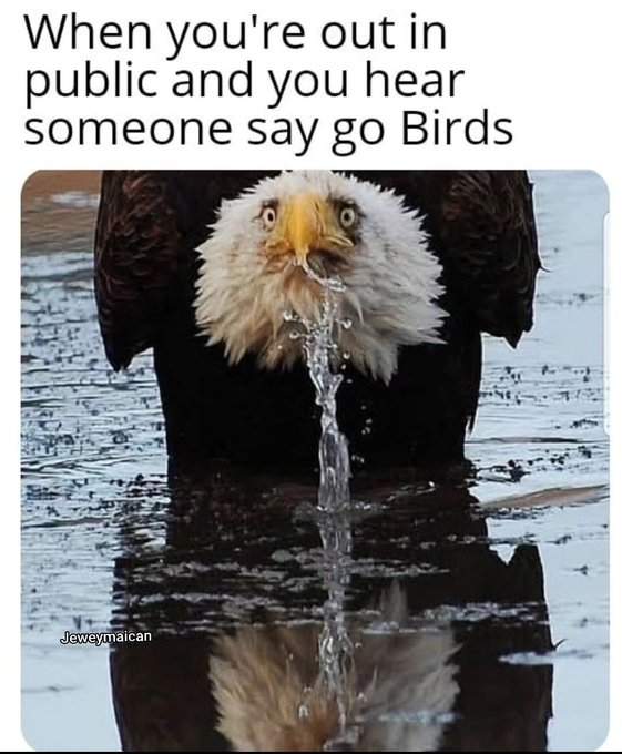 Eh hem. Eh hem. 😂🦅🏈  GO BIRDS! https://t.co/LCs82xZW2P