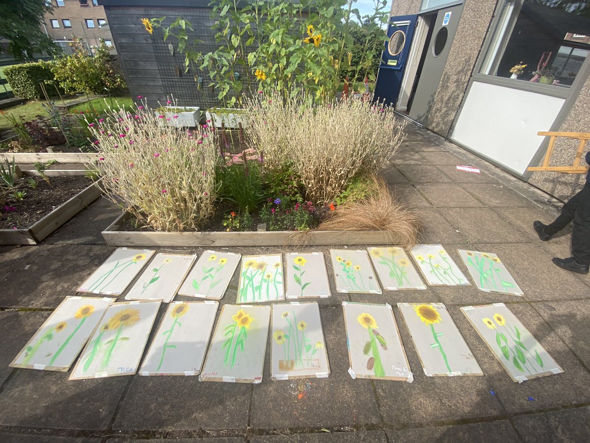 MissFergusonAr1's tweet photo. Feeling very lucky to have this garden as an extension of my classroom! P6 are making the most of the lovely weather drawing the beautiful sunflowers 🌻🌻 #outdoorlearning #drawing #primary #art https://t.co/z2JYyzZ1yW