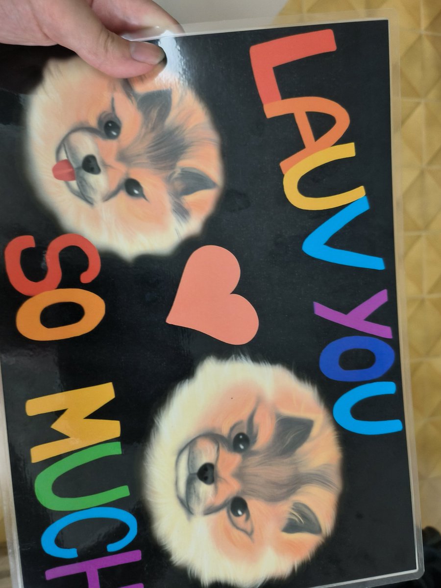 nikmikxo's tweet photo. @lauvsongs ilysm I wish I could have given this to you just now 😭😭😭 but the show was magnificent,,, pls come again next year ❤️🧡💛💚💙💜 https://t.co/UcEx9cvfbq