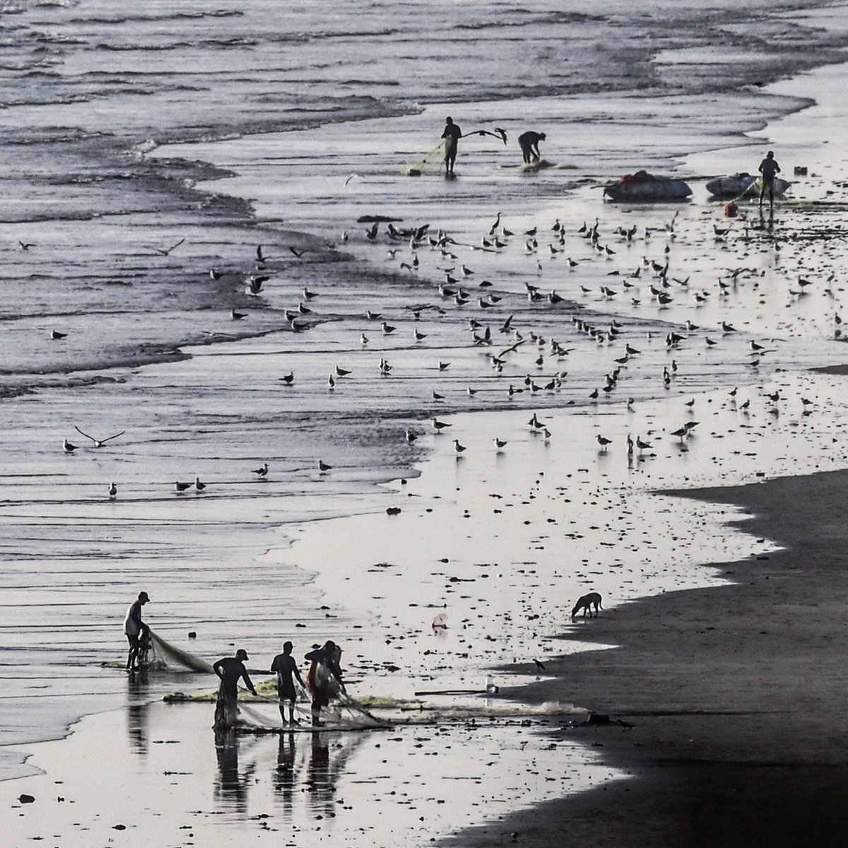 tapujaveri's tweet photo. @VisualsbySauter Fishermen bringing their nets Karachi beach - Pakistan 
#tapujaveri #taputravels https://t.co/5G0fnCZ0Dn