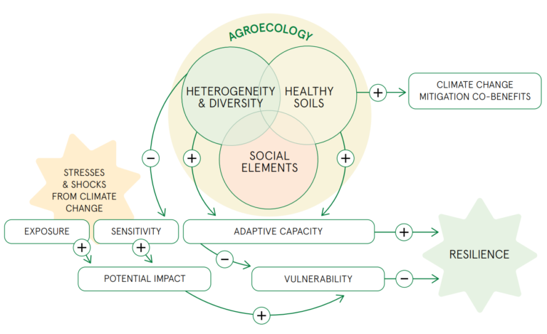 biovision_org's tweet photo. ⁉️Did you know that #agroecology can address climate change and build more resilient livelihoods and food systems? 👇🏾Check out our study: https://t.co/n7C7b375NZ and let’s consider #agroecology as another piece to the #foodsystems #transformation discussed at #AGRF2023! https://t.co/xgFvu9TA6A