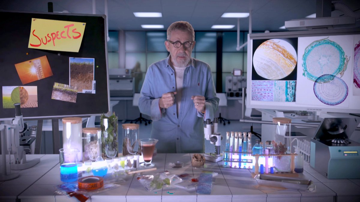 Tel un expert de la police scientifique, Jamy traque les meurtriers des arbres de nos forêts. 🌲🌳

Une enquête à retrouver dans le Monde de Jamy : «Incendies, réchauffement, surexploitation : Comment sauver nos forêts ?», mercredi à 21h10 sur France 3 .

#LeMondeDeJamy