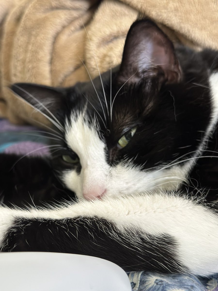 <a href="/AMAZlNGNATURE/">Nature is Amazing ☘️</a> 8 years ago walking home one night.