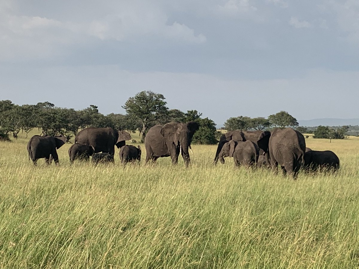 RickShearn's tweet photo. Saying Kwaheri is never easy. But farewell 🇹🇿 and the team at @UKinTanzania 

From Zanzibar to the Serengeti, we’ve enjoyed every minute of our time exploring East Africa. 

And… hola to 🇨🇴! About to begin learning Espagnol before joining the team @UKinColombia … https://t.co/POulYeuxDU
