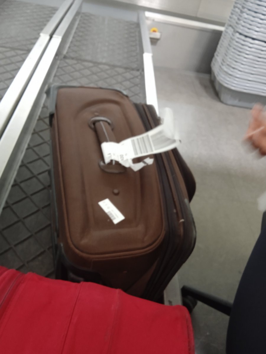 libryprof's tweet photo. @BrusselsAirport 
@Ethiopian_KE
#BrusselsAirport 
Ethiopian Airlines female staff at Brussels airport checked in my luggage on 28th August, 2023. 2 bags tagged now disappeared? Brussels Airport unsafe! DO NOT @flyethiopian 
They loose your bags!!!!!! https://t.co/zei475MRea https://t.co/dA3FYM77ad