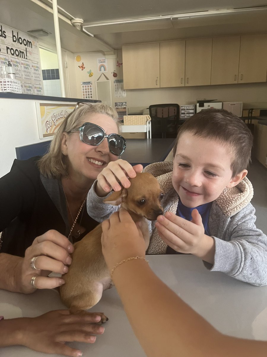 Alison Jimenez tweet media