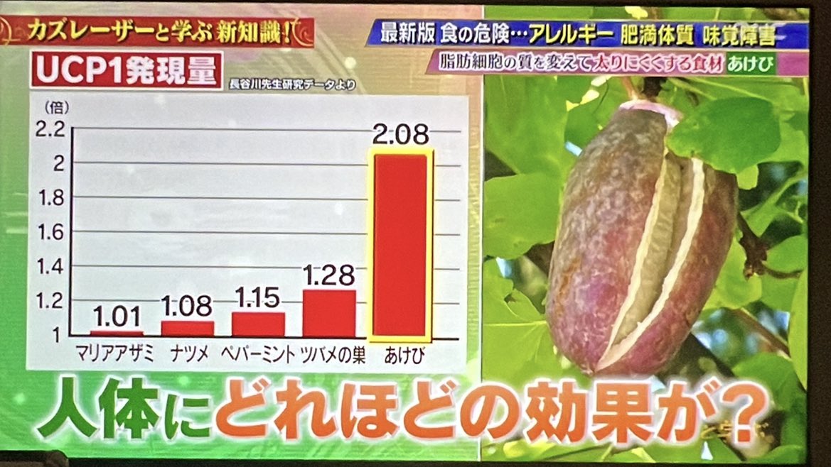 cosme_sora's tweet photo. 20歳までに太ったことがある人は、大人になっても食事制限や運動をして痩せたとしても、脂肪細胞が減ることはなく、リバンドしやすい体質のままという衝撃事実😨
その脂肪を燃やすためにはベージュ脂肪細胞を増やしてくれる(UCP1)あけびという果物を摂るといいらしい🥥 https://t.co/gMJKxDLy74