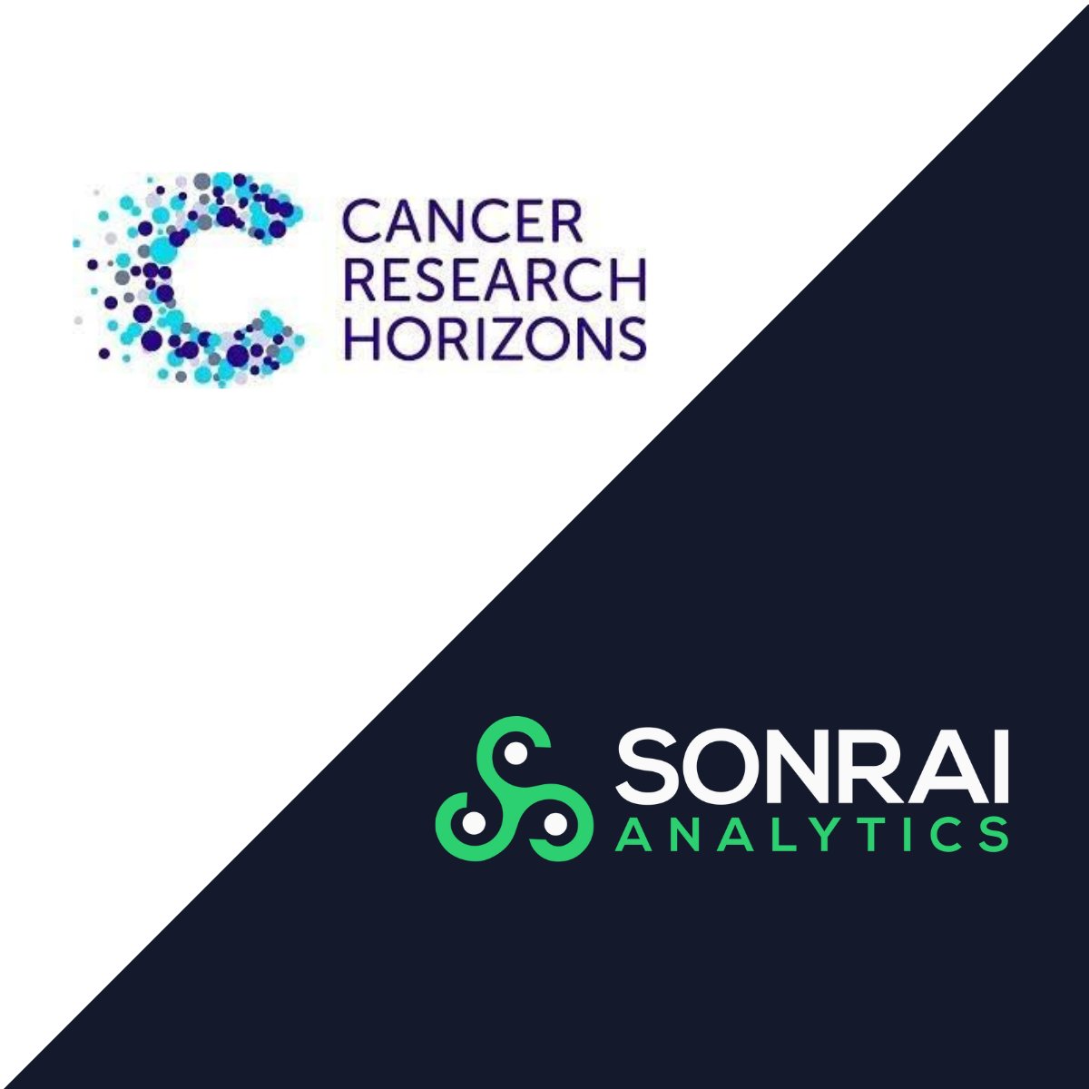 🚀 Exciting News: Sonrai Analytics partners with Cancer Research Horizons!🤝Discover more: bit.ly/Sonrai_CRH #PrecisionMedicine #CancerResearch #AI