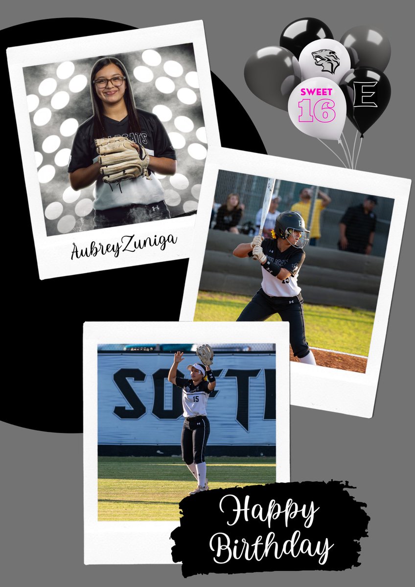 WEHS SOFTBALL tweet media