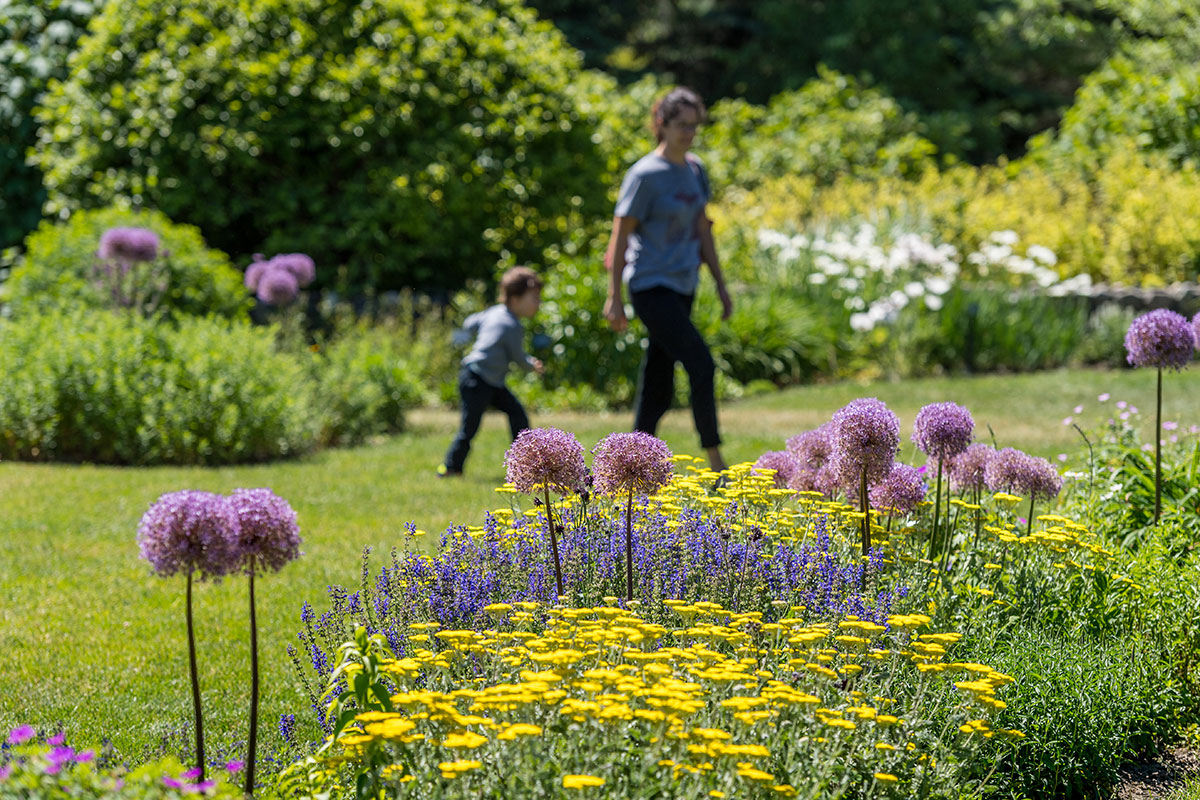 Matthaei Botanical Gardens is about a 15-minute drive away from the University of Michigan Nichols Arboretum in Ann Arbor, Michigan. The Gardens have three miles of trails and outdoor garden spaces featuring bonsai, native plants, and perennials. mbgna.umich.edu