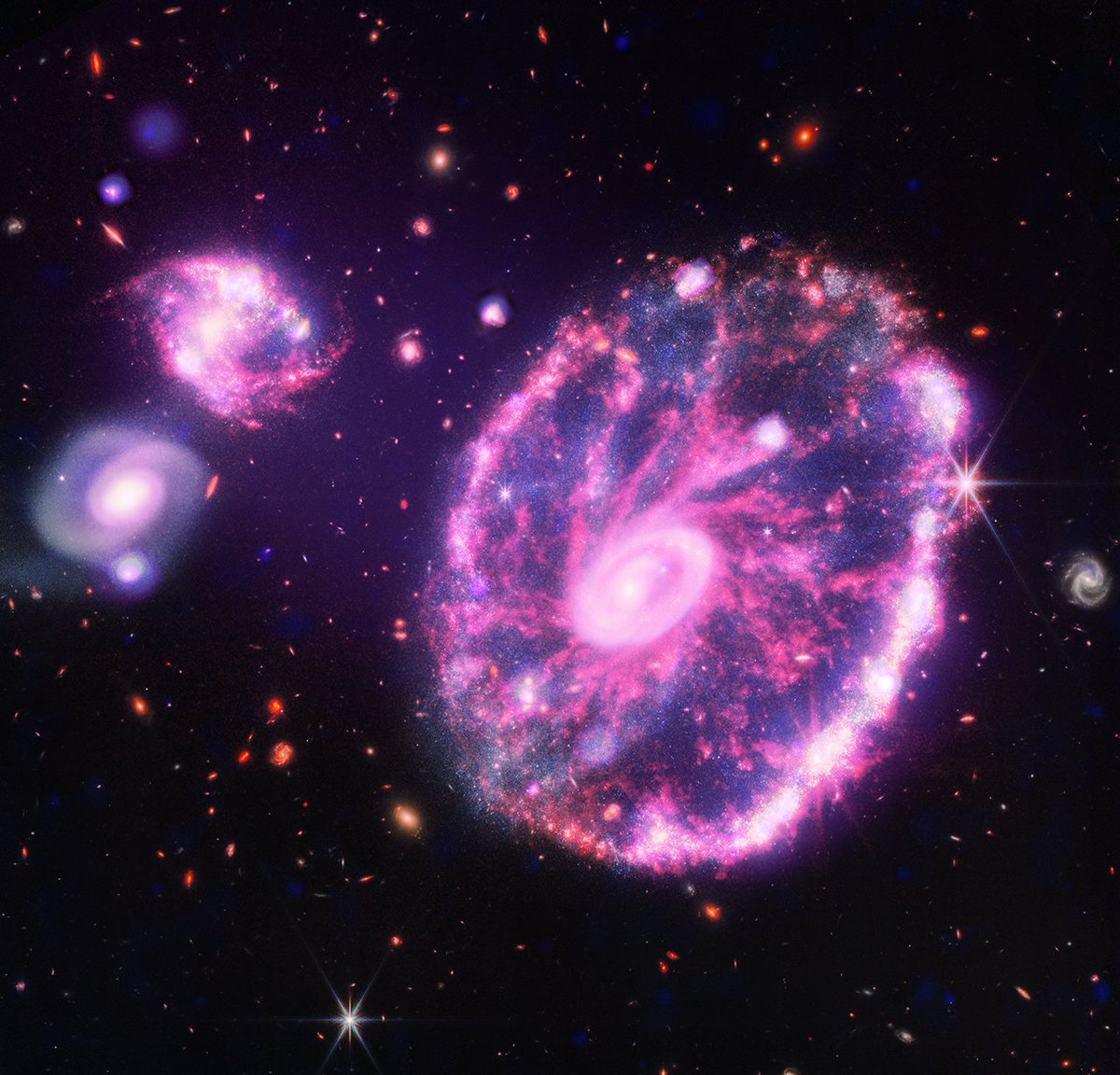The Cartwheel Galaxy gets its unique shape from a collision with a smaller galaxy. When the smaller galaxy punched through the Cartwheel, it triggered star formation that appears around an outer ring and elsewhere in the galaxy. This view combines data from Chandra & @NASAWebb.