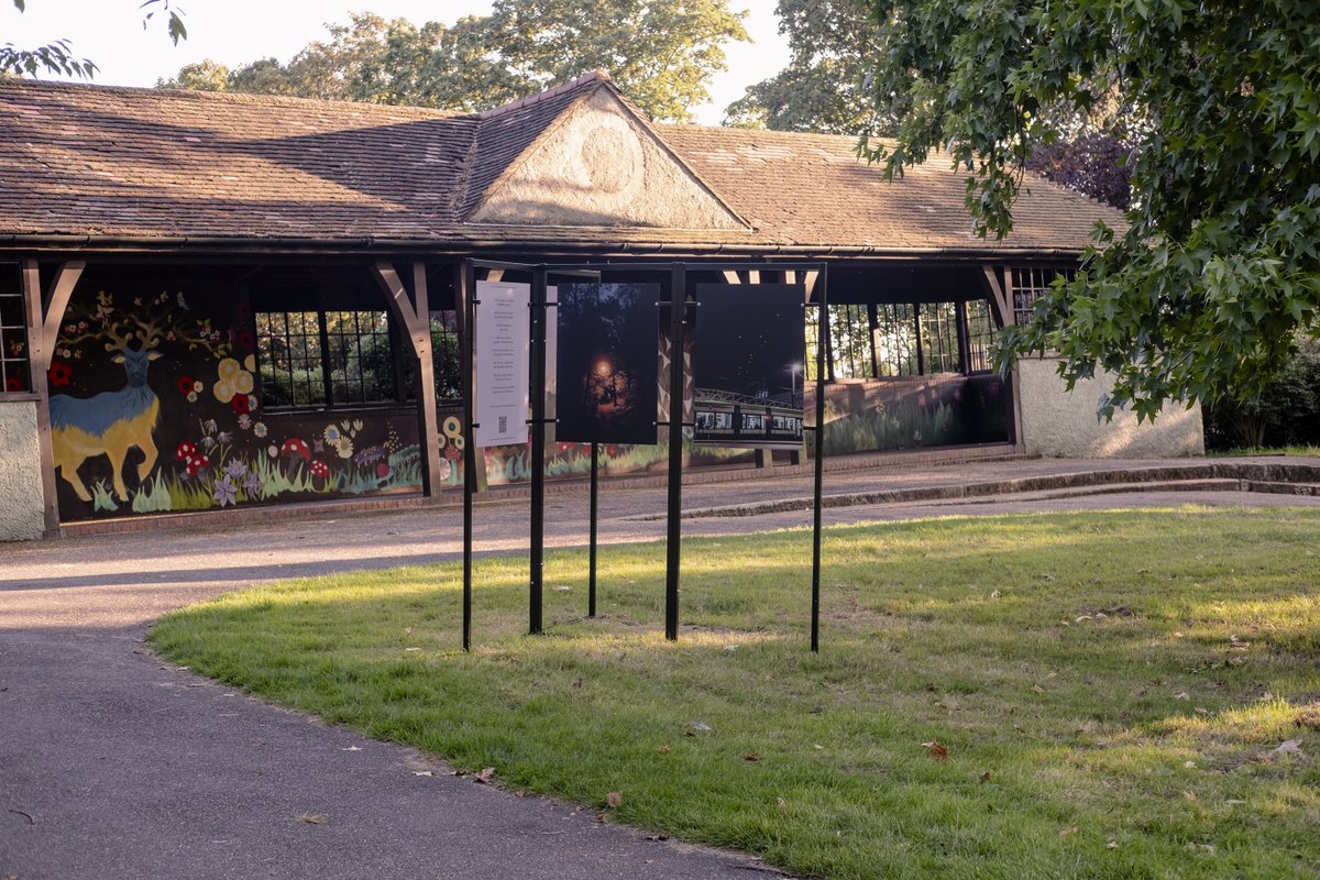 It's (already!) the final week of my #CrocusValley outdoor exhibition in Park Hill Park, Croydon – and what a week it to end on. Go take a look and let me know what you think 🌱

More info: ameenarojee.co.uk/crocusvalley

#thisiscroydon #londonboroughofculture