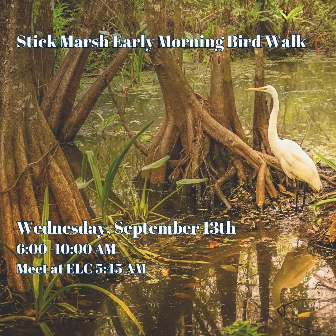 DiscoverELC's tweet photo. Sign up for next week’s Bird Walk to Stick Marsh. This location is on the Great Florida Birding Trail. Call 772 589 5050. #birds #birding #birdwalk #stickmarsh https://t.co/25ZKRAW78E