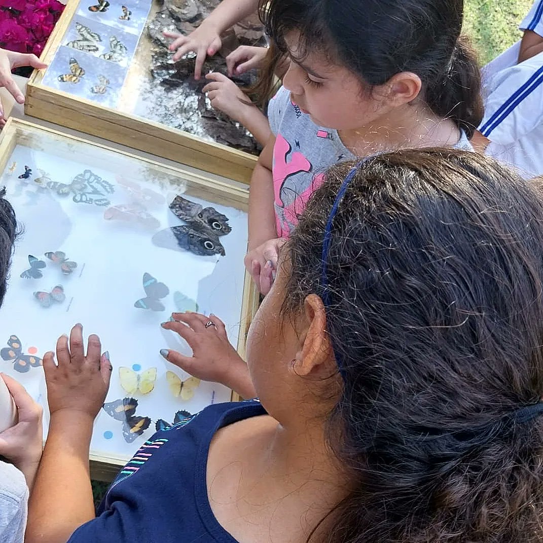 Labbor_Unicamp's tweet photo. Os cientistas vão à escola!

Visitamos a EMEIEF Jurandyr Piva (Pedreira, SP) para conversar com alunos do 3º ano sobre borboletas e outros insetos no nosso jardim.

Agradecemos à escola e às profas. Carmen e Edneia pelo convite! 🦋🧡 https://t.co/erX26UHsRR