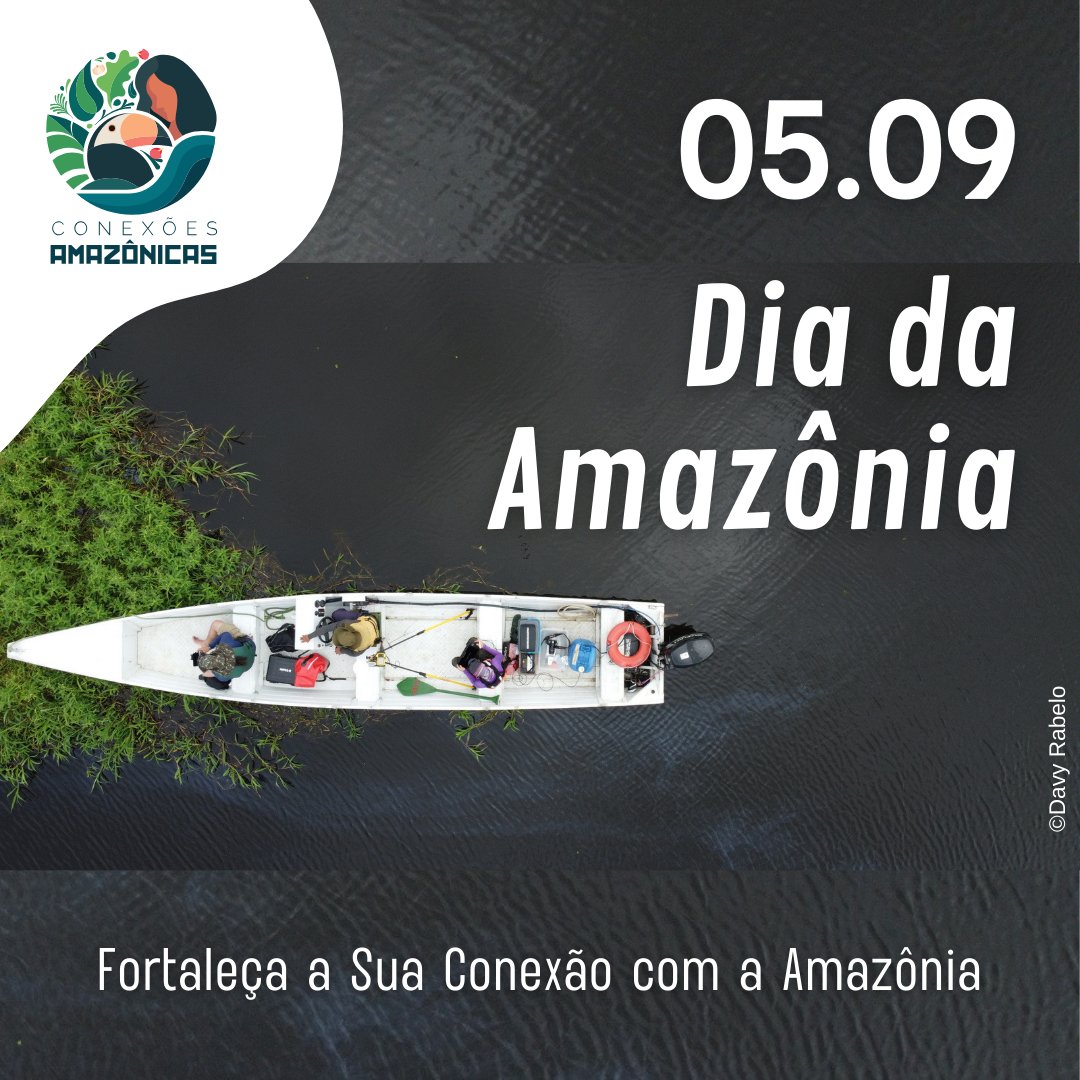 #DiaDaAmazônia Hoje celebrarmos a nossa conexão com a Amazônia, o bioma dos Superlativos. Fortaleça, você também, a Sua Conexão com a Amazônia. Apoie instituições e pessoas que lutam pela Amazônia Viva e em Pé.
📸Davy Rabelo |  Reserva de Desenvolvimento Sustentável Mamirauá, AM.