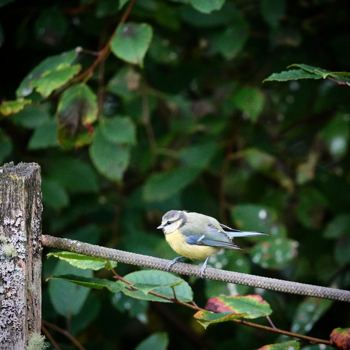 Ruari Saunders Photography tweet media