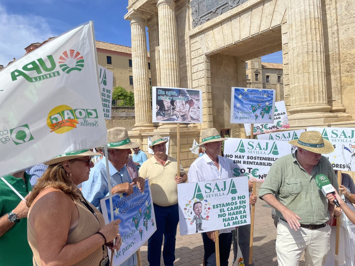 El campo de Sevilla ha mostrado hoy en Córdoba su malestar con las políticas erráticas de la UE 🇪🇺

y junto a los agricultores de toda España ha pedido respeto, apoyo

y unas reglas de juego claras q nos permitan seguir produciendo alimentos para alimentar a 500 mill de europeos.