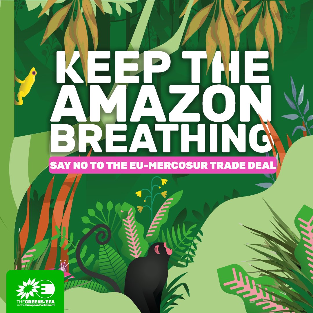 GreensEFA's tweet image. The Amazon is vital for life. We must protect it! 💚

On #AmazonDay we remind EU and its leaders that the trade deal they want to sign with the Mercosur countries will hurt the region's forest biomes, such as the Amazon forest.

To save the Amazon we must #StopEUMercosur deal!