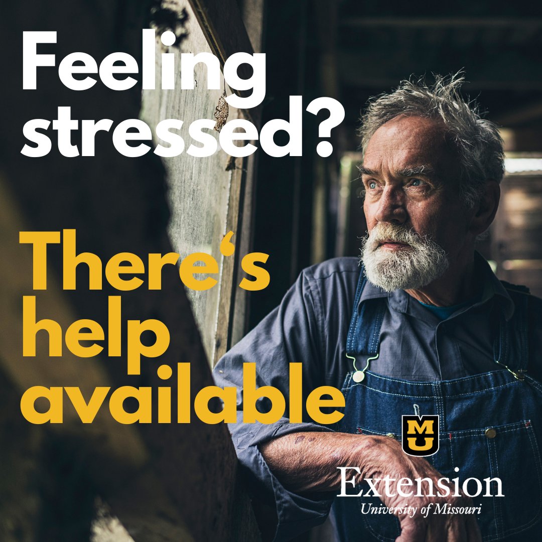 MUExtension's tweet photo. #NationalSuicideAwarnessMonth is a good time to remind all farmers, ranchers and their families about the resources available to help those experiencing stress or suicidal thoughts.

Free, confidential resources: https://t.co/2LyiAiGQwu https://t.co/AZuyCsWScL