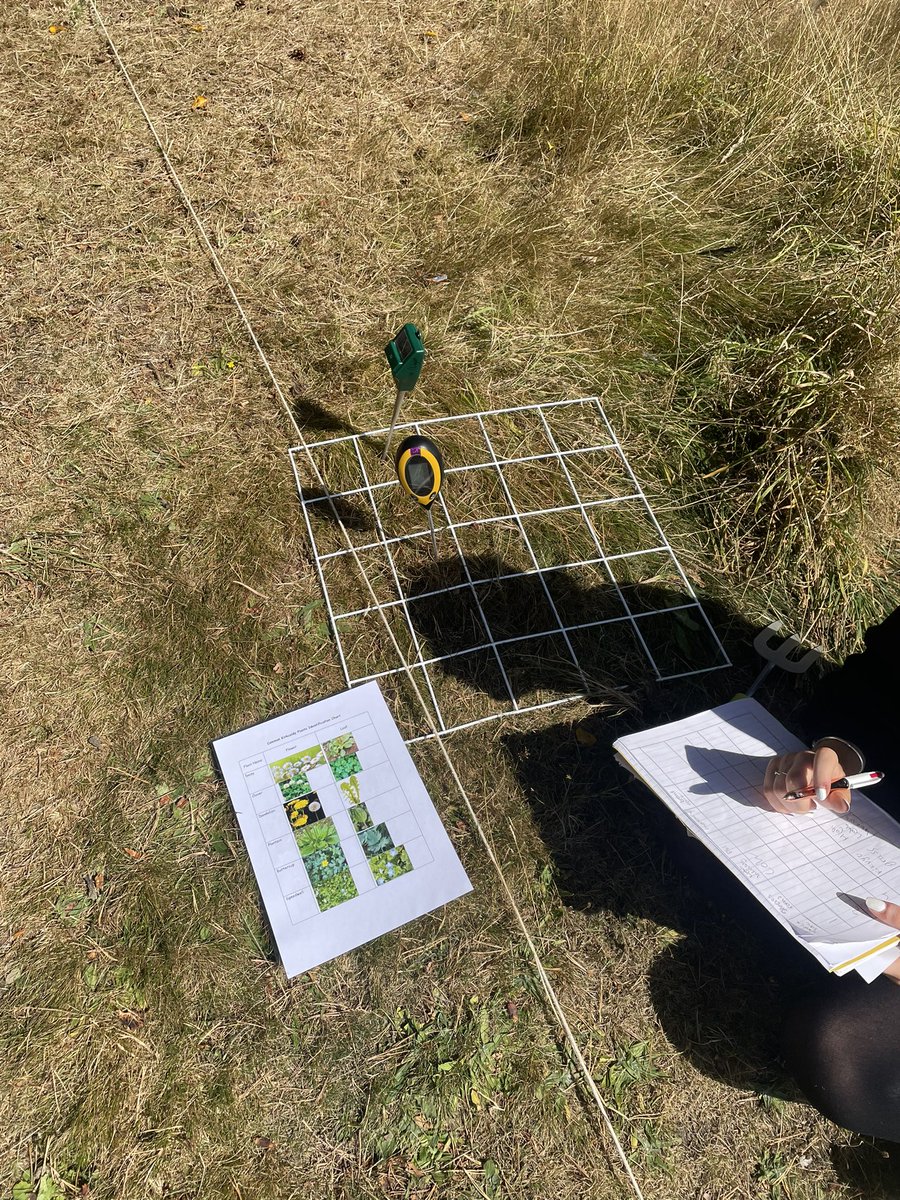 Miss Irvine tweet media