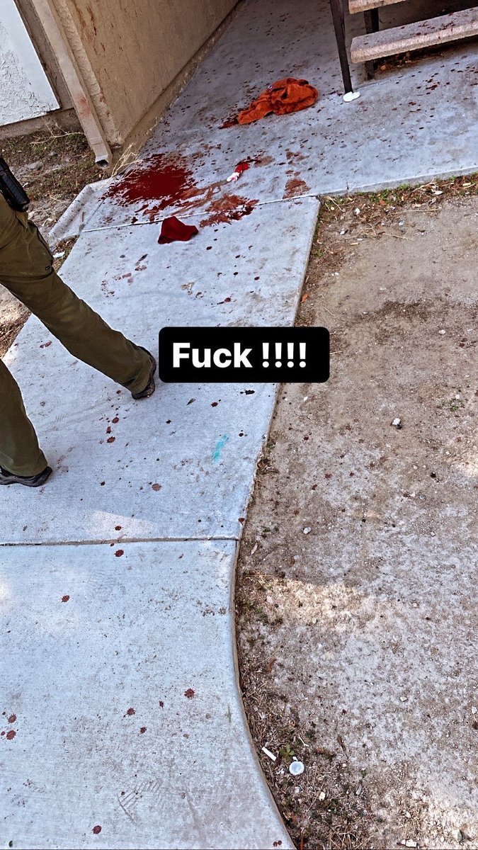 damn momma tweet media