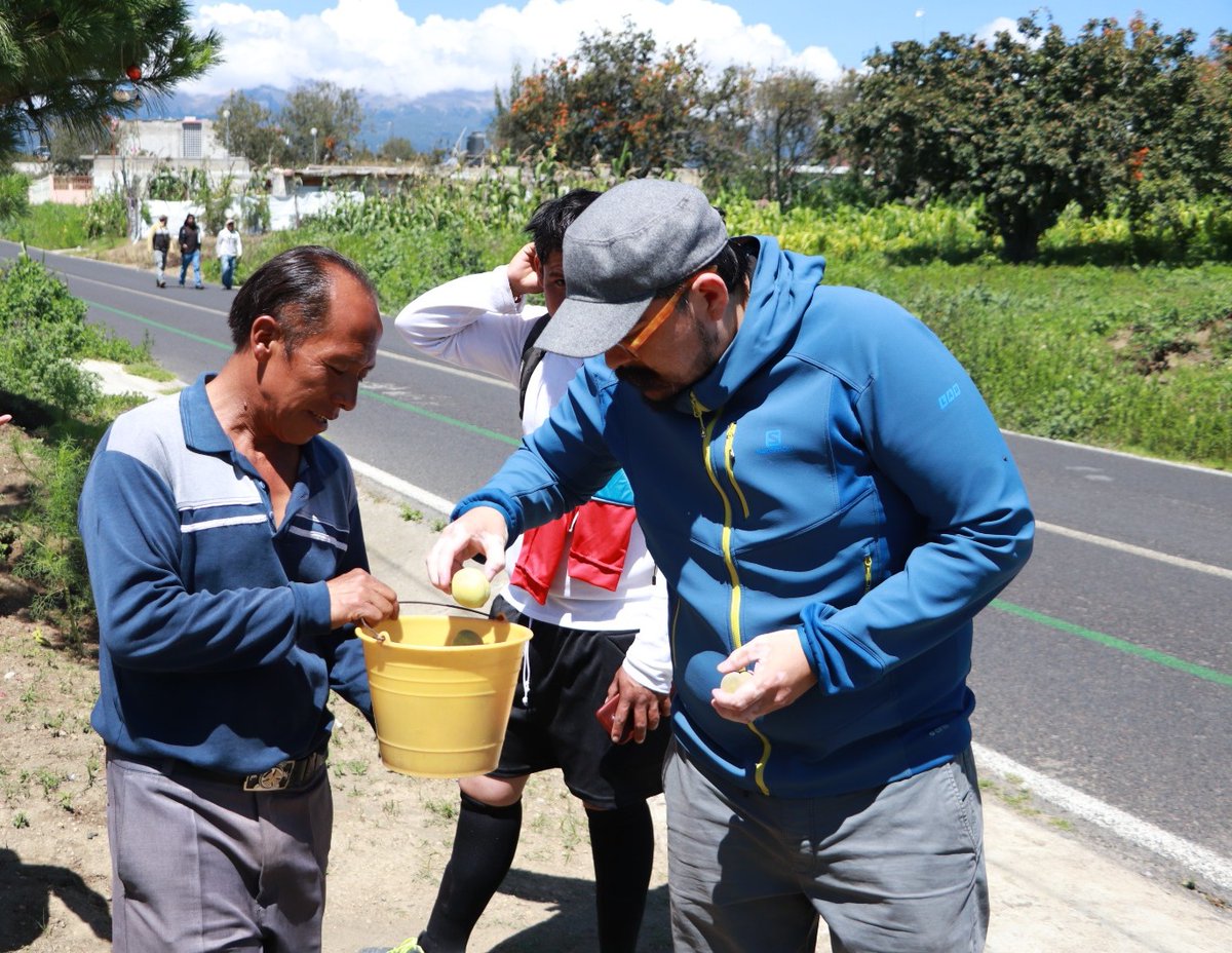 JorgeMorales_Al's tweet photo. 👨🏻‍🌾El campo nuestra mayor riqueza, es importante cuidarlo y fortalecerlo para que prospere.🌱
😜Nada como saborear un fruto directo del árbol. 🍑🍐🌳
#ConsumeLoNatural https://t.co/lGz5q4LqaX