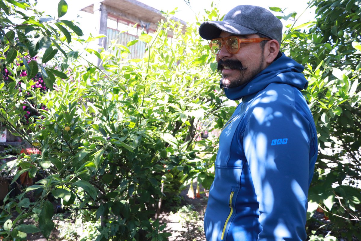 JorgeMorales_Al's tweet photo. 👨🏻‍🌾El campo nuestra mayor riqueza, es importante cuidarlo y fortalecerlo para que prospere.🌱
😜Nada como saborear un fruto directo del árbol. 🍑🍐🌳
#ConsumeLoNatural https://t.co/lGz5q4LqaX