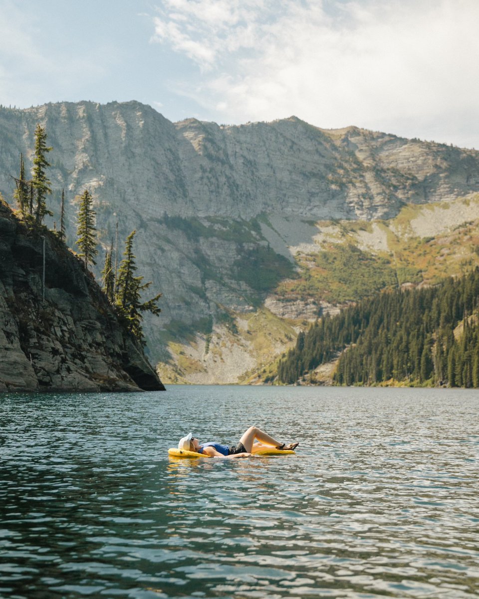 Justin D Kauffman tweet media