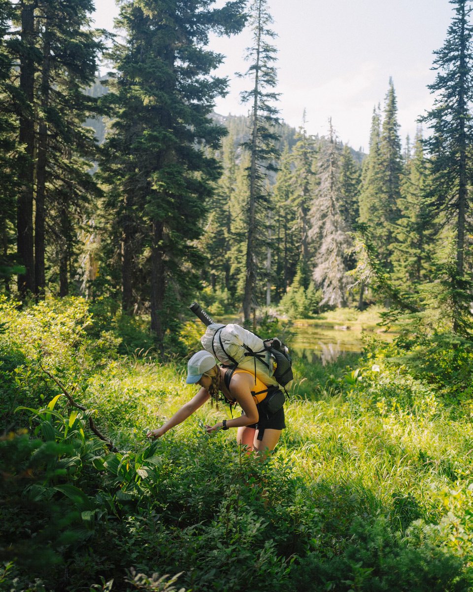 Justin D Kauffman tweet media