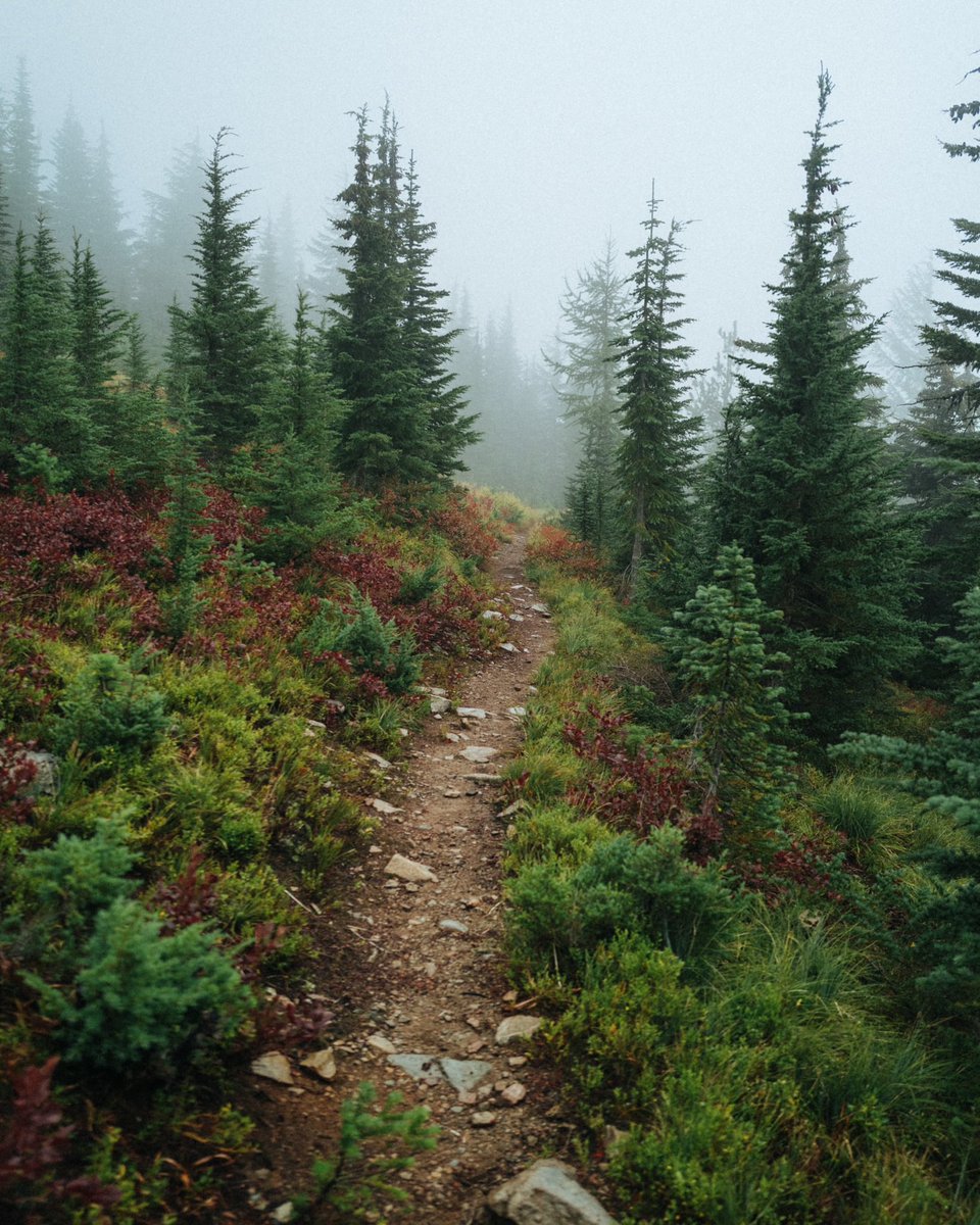 Justin D Kauffman tweet media