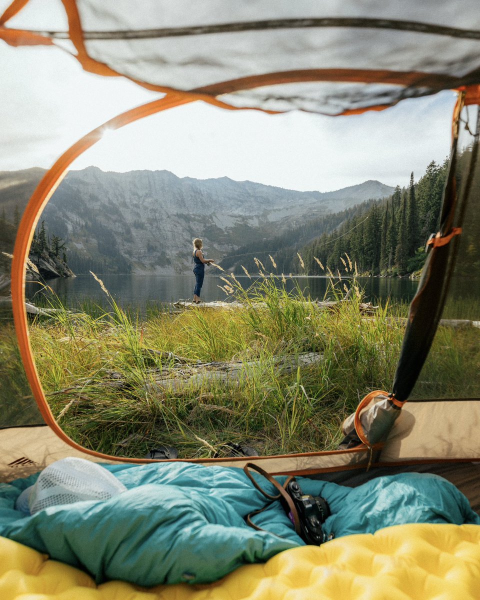 Justin D Kauffman tweet media