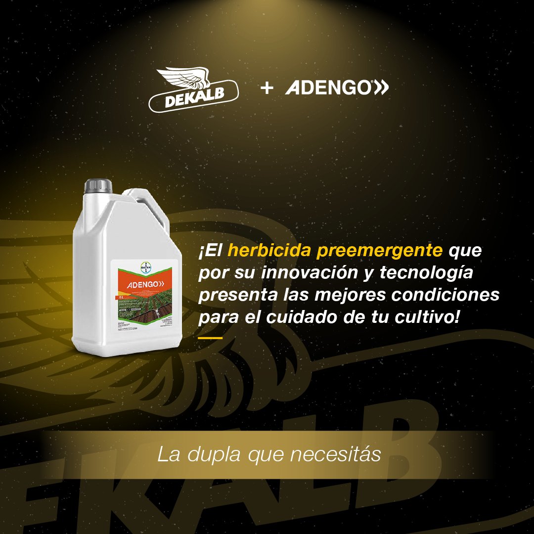 #ADENGO + #DEKALB: una combinación legendaria que eleva y potencia tu maíz 🌽✨

¡Contactá a tu distribuidor más cercano!