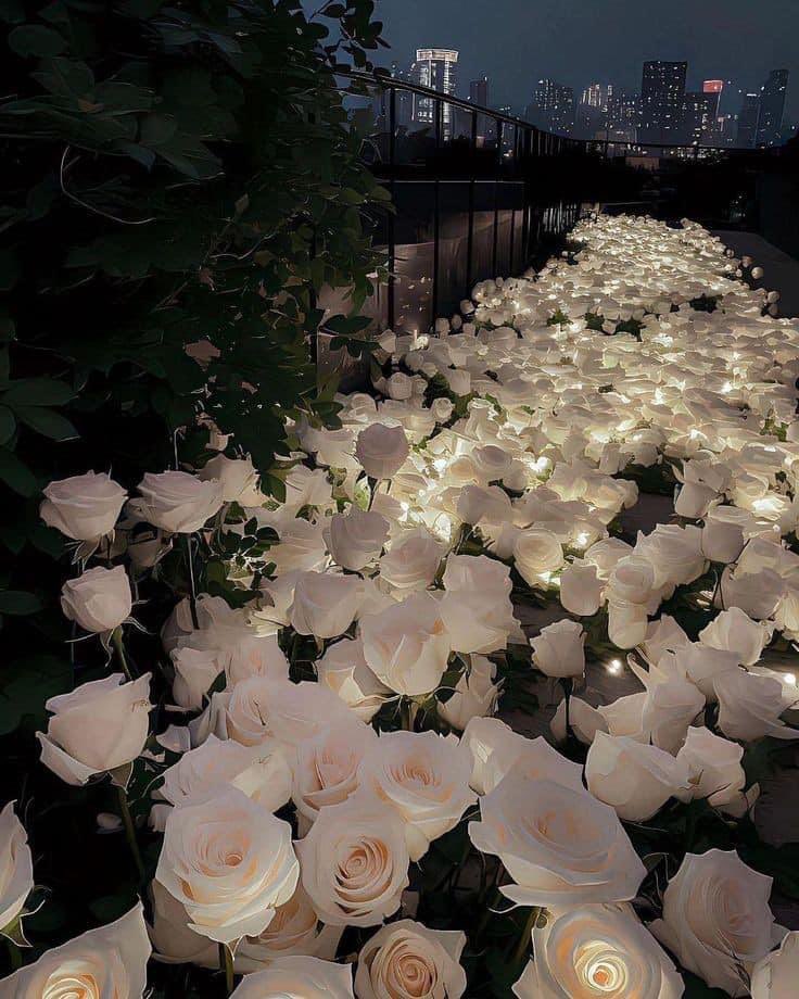 artindetails's tweet photo. glowing flowers https://t.co/zBJy2v7yf9