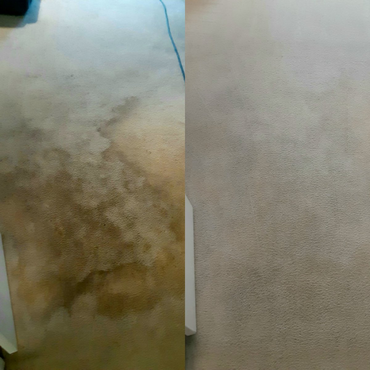 CookCleaningCo's tweet image. No carpet is too dirty for @cookcleaningco 

#carpetcleaning #steamcleaning #stainremoval #cookcleaningco #odorremoval #atlanta #atlantasteamcleaning