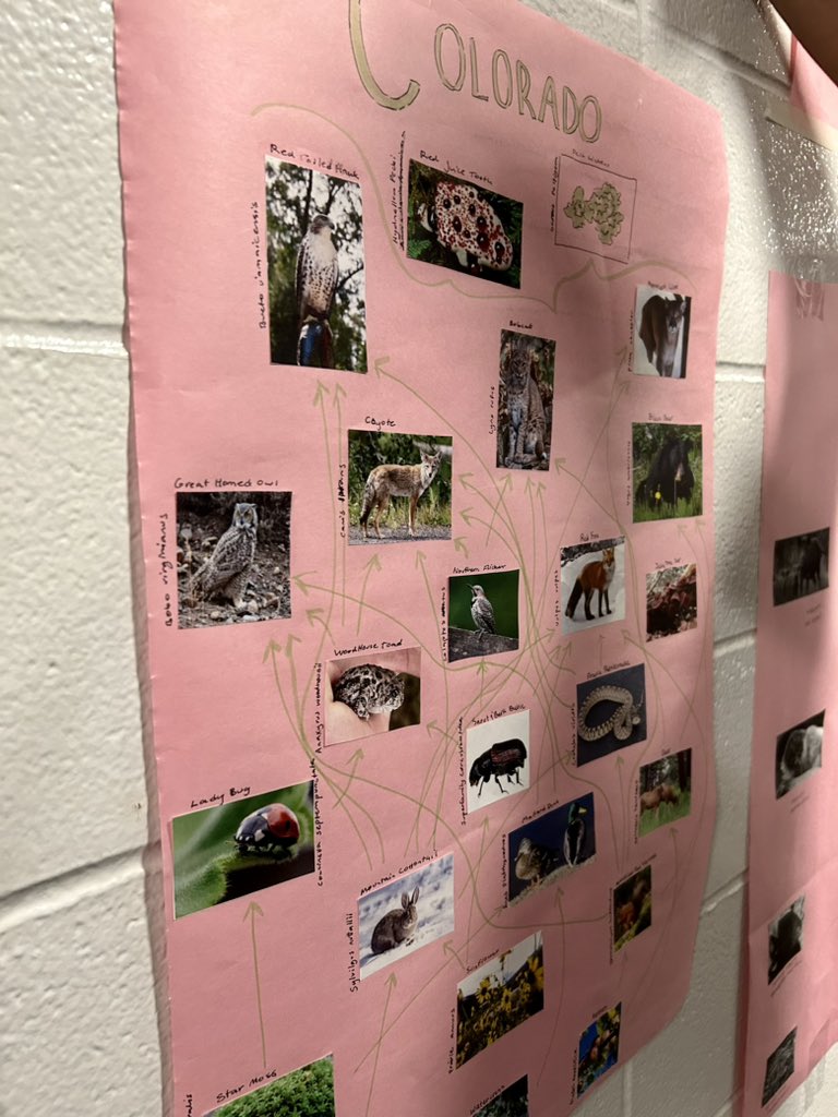 Kelly Knight tweet media