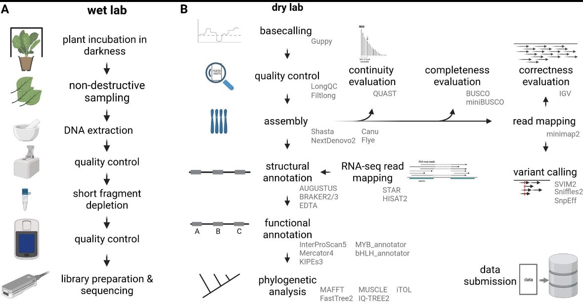 Hashimi77133's tweet image. ماذا نعرف عن-  Oxford nano drops Technology for sequencing 
#Data_Literacy in Genome Research
doi.org/10.20944/prepr…