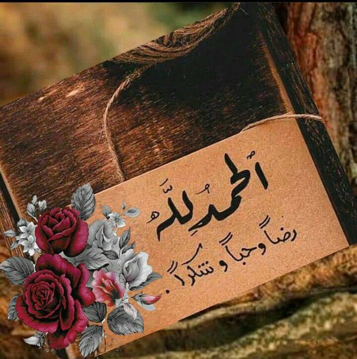العـــــراااب🕊💙 tweet media